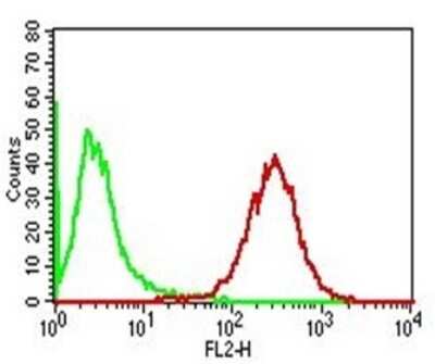 Flow Cytometry: Perilipin-2/ADFP Antibody (ADFP/1365) - Azide and BSA Free [NBP2-54369]
