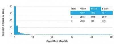 Protein Array: Perilipin-2/ADFP Antibody (ADFP/1366) - Azide and BSA Free [NBP2-54313]