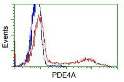 Flow Cytometry: Phosphodiesterase 4A/PDE4A Antibody (OTI1C8) [NBP2-02559]