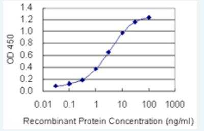 ELISA: Phospholipase A2 X Antibody (5G11) [H00008399-M01-100ug]