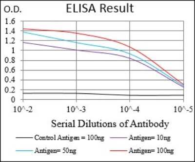 ELISA: Phospholipase A2 XII Antibody (7C7C9) - BSA Free [NBP2-37258]
