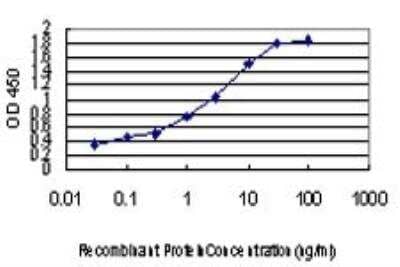ELISA: Phospholipase D2 Antibody (1C5) [H00005338-M01]