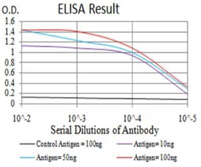 ELISA: Phospholipase D2 Antibody (7E4D9) - BSA Free [NBP2-61784]