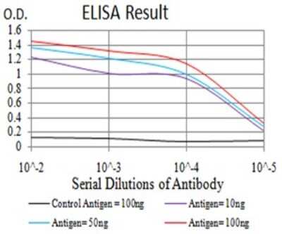 ELISA: Phospholipase D2 Antibody (8G1G2) - BSA Free [NBP2-61785]