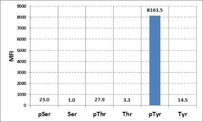 Multiplex Immunoassay: Phospho-Tyrosine Antibody (RM111) [NBP2-77400]