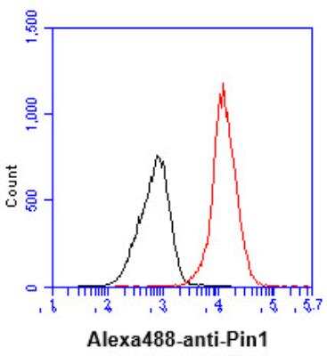 Flow Cytometry: Pin1 Antibody (3G8) - BSA Free [NBP1-22956]