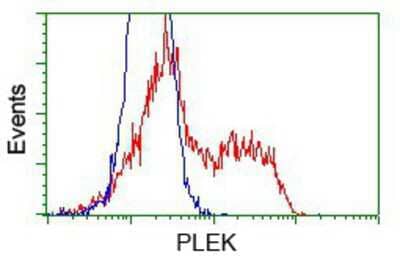 Flow Cytometry: Pleckstrin Antibody (OTI6H8) [NBP2-02300]