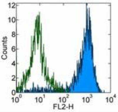 Flow Cytometry: Plexin B2 Antibody (3E7) - BSA Free [NBP1-43310]