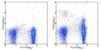 Flow Cytometry: Plexin B2 Antibody (3E7) - BSA Free [NBP1-43310]