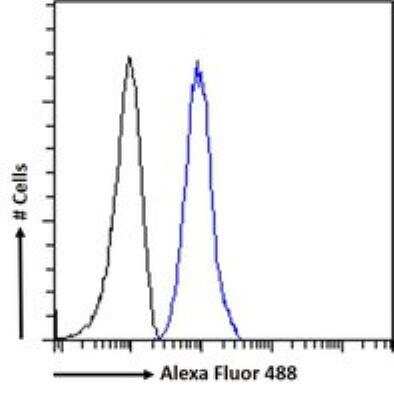 Flow Cytometry: Plexin D1 Antibody [NB300-961]