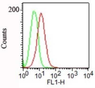 Flow Cytometry: Podocalyxin Like Antibody (3D3) [NBP2-25219]