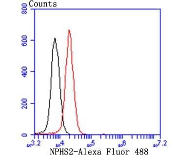 Flow Cytometry: Podocin/NPHS2 Antibody (JB51-33) [NBP2-75624]