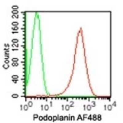 Flow Cytometry: Podoplanin Antibody (NZ-1.2) - BSA Free [NBP2-03952]