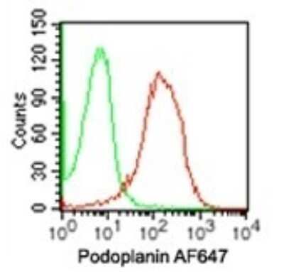 Flow Cytometry: Podoplanin Antibody (NZ-1.2) - BSA Free [NBP2-03952]