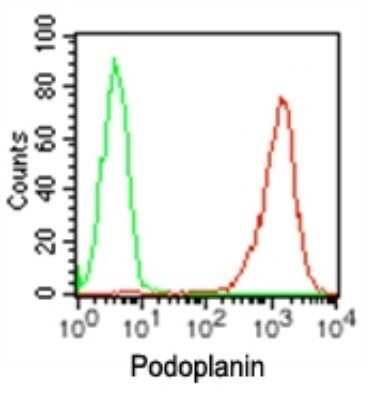 Flow Cytometry: Podoplanin Antibody (NZ-1.2) - BSA Free [NBP2-03952]