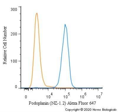 Flow Cytometry: Podoplanin Antibody (NZ-1.2) - BSA Free [NBP2-03952]