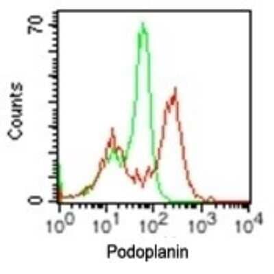Flow Cytometry: Podoplanin Antibody (pmab-1) - Azide and BSA Free [NBP2-80917]