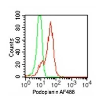 Flow Cytometry: Podoplanin Antibody (pmab-1) - Azide and BSA Free [NBP2-80917]