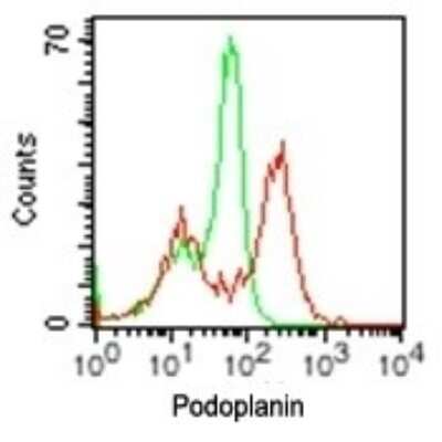 Flow Cytometry: Podoplanin Antibody (pmab-1) - BSA Free [NBP2-03955]
