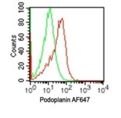 Flow Cytometry: Podoplanin Antibody (pmab-1) - BSA Free [NBP2-03955]