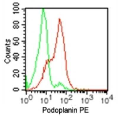 Flow Cytometry: Podoplanin Antibody (pmab-1) - BSA Free [NBP2-03955]