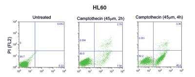 Flow Cytometry: pSIVA Apoptosis Detection Flow Cytometry Kit [NBP2-29611]