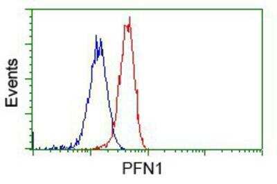 Flow Cytometry: Profilin 1 Antibody (OTI1D5) [NBP2-02577]