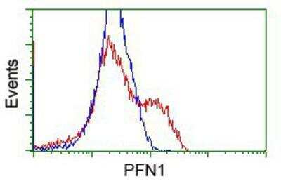 Flow Cytometry: Profilin 1 Antibody (OTI1D5) [NBP2-02577]