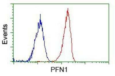Flow Cytometry: Profilin 1 Antibody (OTI1D5) - Azide and BSA Free [NBP2-73605]