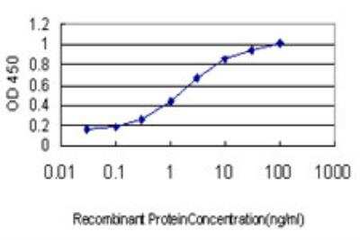 ELISA: Profilin 2 Antibody (5F11) [H00005217-M04]