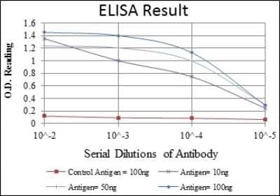 ELISA: Prohibitin Antibody (5H7) - BSA Free [NBP2-37563]