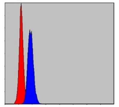 Flow Cytometry: Prohibitin Antibody (5H7) - BSA Free [NBP2-37563]