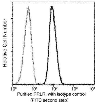 Flow Cytometry: Prolactin R Antibody (204) [NBP2-89377]
