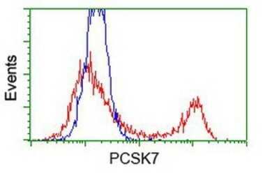 Flow Cytometry: Proprotein Convertase 7/PCSK7 Antibody (OTI1B8) - Azide and BSA Free [NBP2-73621]