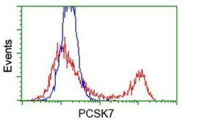 Flow Cytometry: Proprotein Convertase 7/PCSK7 Antibody (OTI1B8) [NBP2-02106]