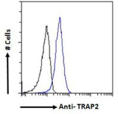 Flow Cytometry: Proteasome 19S 10B Antibody [NB100-1483]