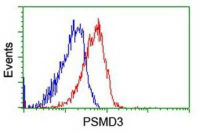 Flow Cytometry: Proteasome 19S S3 Antibody (OTI2A2) [NBP2-01808]