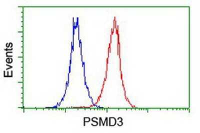 Flow Cytometry: Proteasome 19S S3 Antibody (OTI2A2) [NBP2-01808]