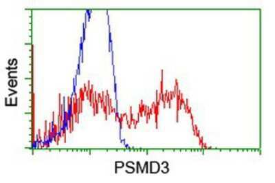 Flow Cytometry: Proteasome 19S S3 Antibody (OTI2A2) [NBP2-01808]