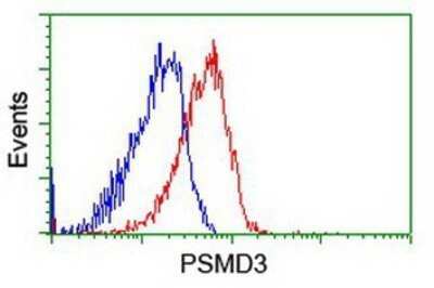 Flow Cytometry: Proteasome 19S S3 Antibody (OTI2A2) - Azide and BSA Free [NBP2-73636]