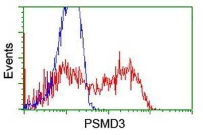 Flow Cytometry: Proteasome 19S S3 Antibody (OTI2A2) - Azide and BSA Free [NBP2-73636]