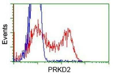 Flow Cytometry: Protein Kinase D2 Antibody (OTI5G1) [NBP2-02984]