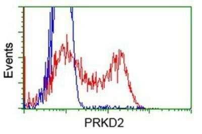 Flow Cytometry: Protein Kinase D2 Antibody (OTI5G1) - Azide and BSA Free [NBP2-73664]