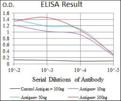 ELISA: Protein Phosphatase 1 beta Antibody (8A7C7) - BSA Free [NBP2-52539]