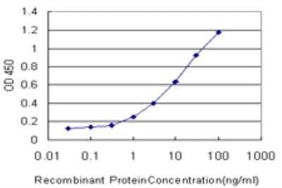 ELISA: Protocadherin beta 12 Antibody (1D11) [H00056124-M05]