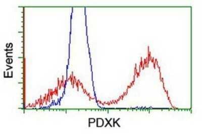 Flow Cytometry: Pyridoxal Kinase/PDXK Antibody (OTI5H5) - Azide and BSA Free [NBP2-73754]