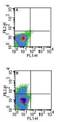 Flow Cytometry: QA1b Antibody (6A8.6F10.1A6) - Azide and BSA Free [NBP2-26667]