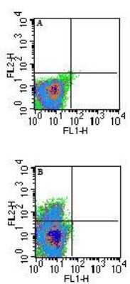 Flow Cytometry: QA1b Antibody (6A8.6F10.1A6) - BSA Free [NBP2-26649]