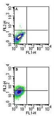 Flow Cytometry: QA1b Antibody (6A8.6F10.1A6) - BSA Free [NBP2-26649]