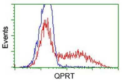 Flow Cytometry: QPRT Antibody (OTI1C10) [NBP2-02860]